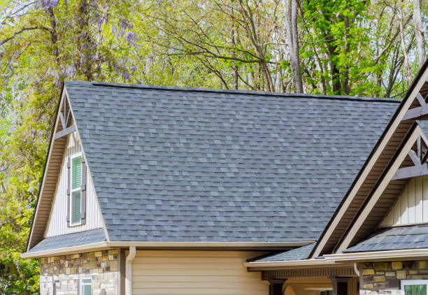 Best Gutter Installation and Repair  in Excelsior, MN